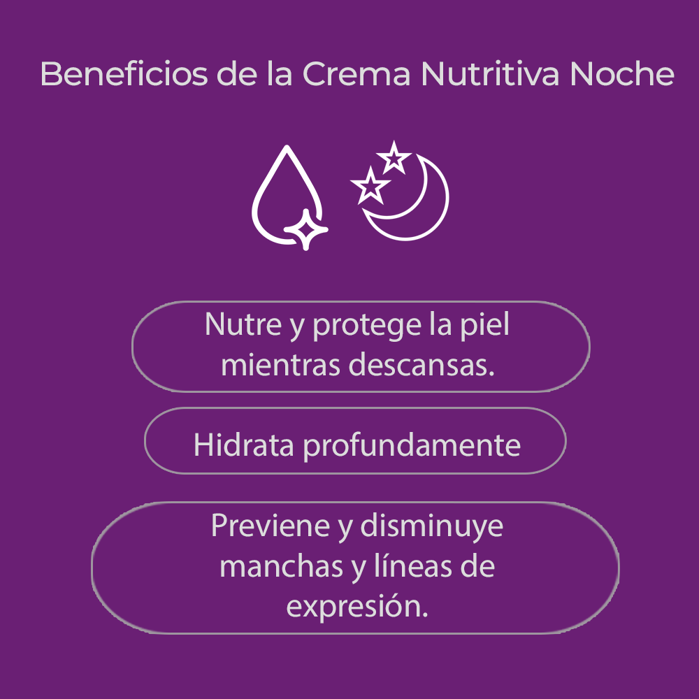 CREMA NUTRITIVA NOCHE ZOAH 50ML