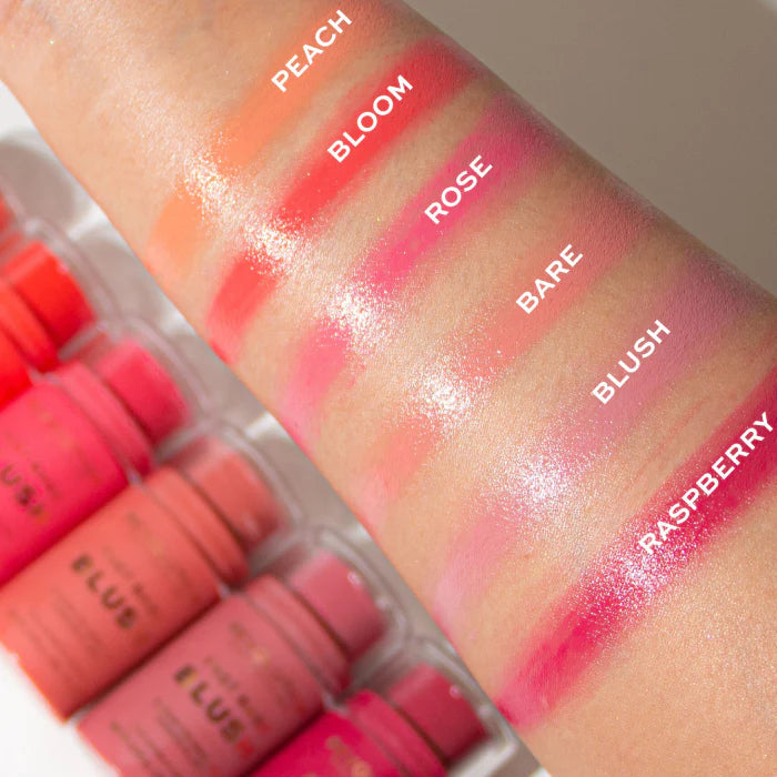 FAST BASE BLUSH REVOLUTION 14 GR